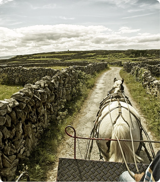 Inis Mór is the largest and most iconic of the three Aran Islands.